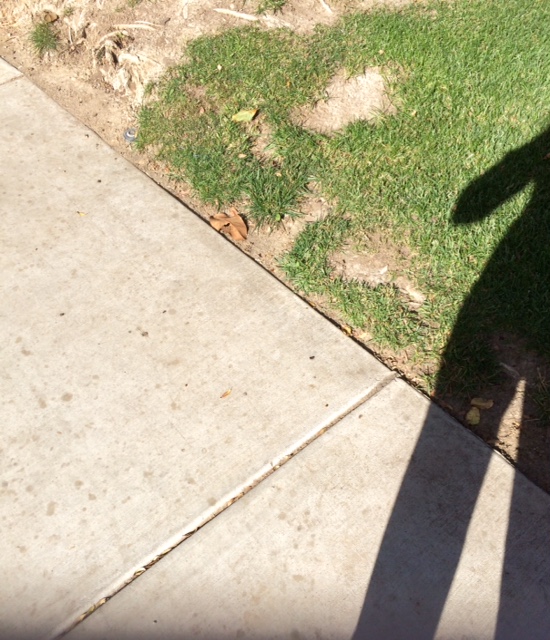 cracks in the sidewalkFullSizeRender (11)