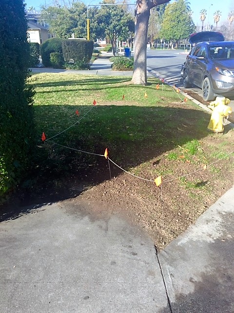 FullSizeRender (10) (2)